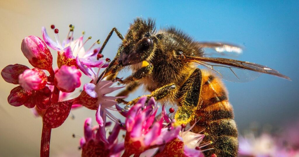 15 images of Malta's natural beauty in running for global prize