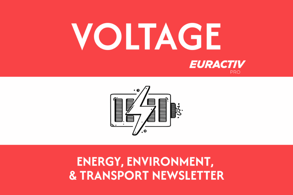 VOLTAGE: Carmaker love-in | Euractiv