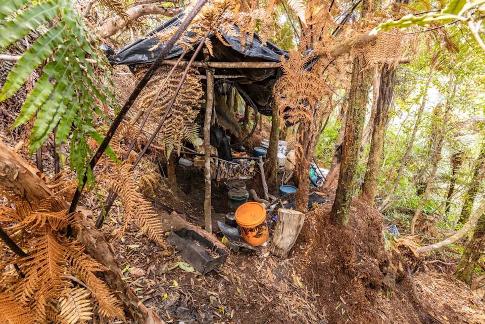 Pictures show the main campsite where Tom Phillips and his children were hiding in the bush near Waitomo (AP)