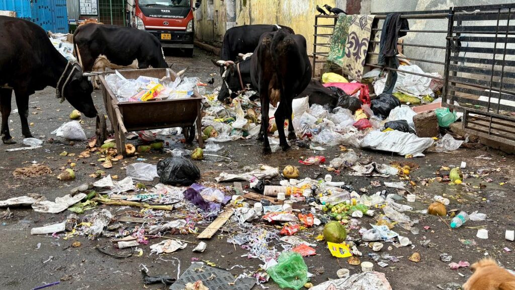 Citizens’ group flag environmental issues plaguing Mysuru