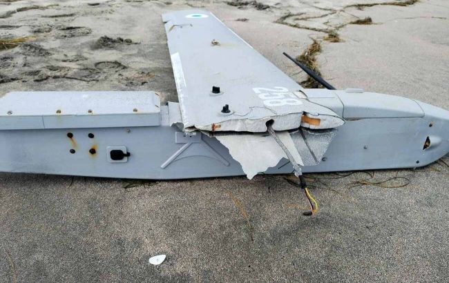 Military drone found on Bulgarian beach after washing up from Black Sea