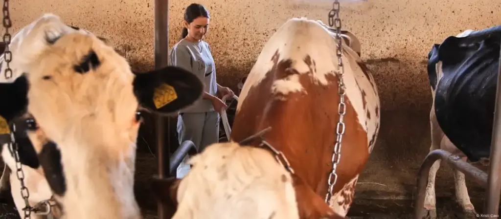 Kosovo: Women agribusiness entrepreneurs - Gazeta Express