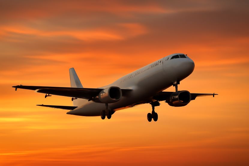 8 Flight Cancel New Zealand Cities: Wellington, Christchurch, Rotorua, and Hamilton Affected