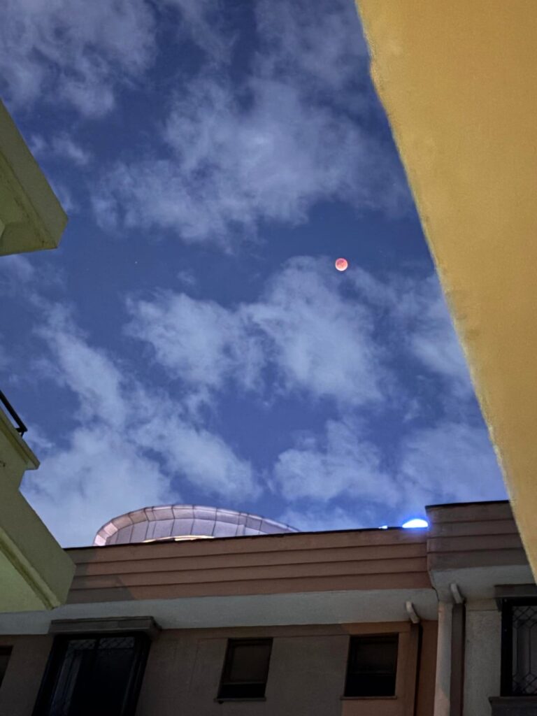 I got a rather terrible picture of the blood moon on my iPhone