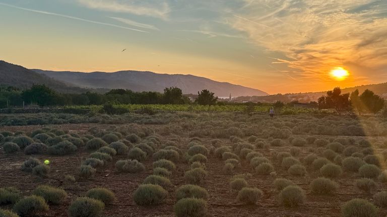 A sunset over Stari Grad Plains