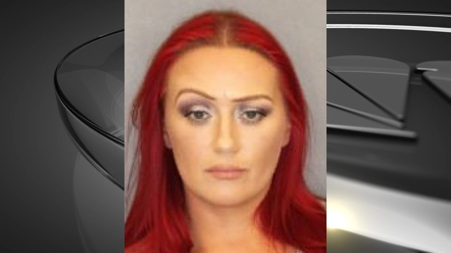 Malta woman accused of lying about pit bull’s aggressive history