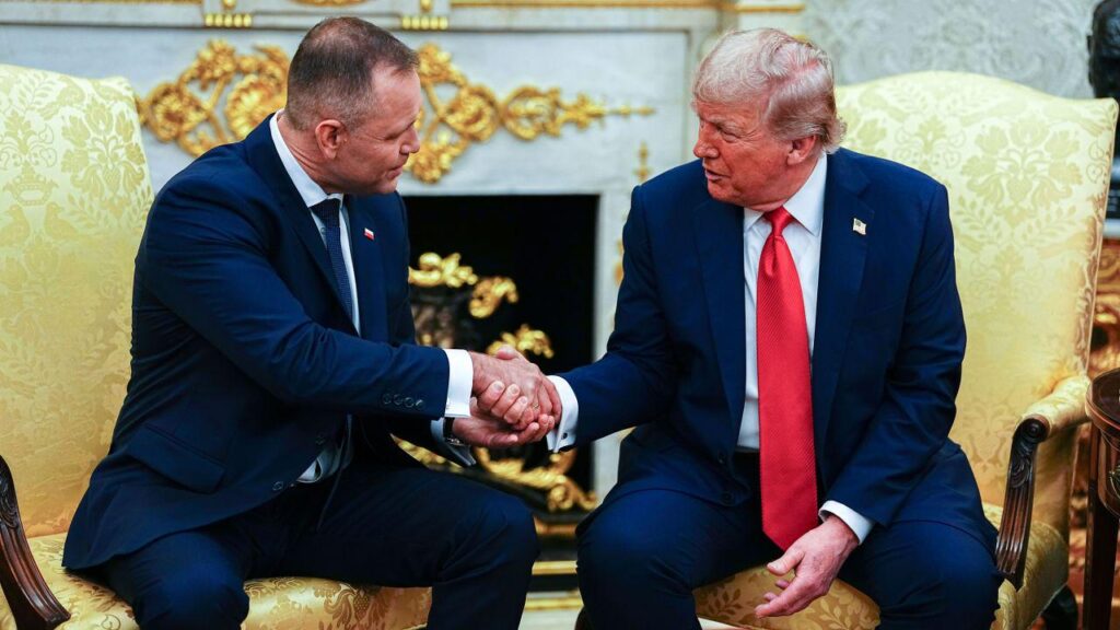 US troops will stay in Poland, says Trump during Nawrocki meeting