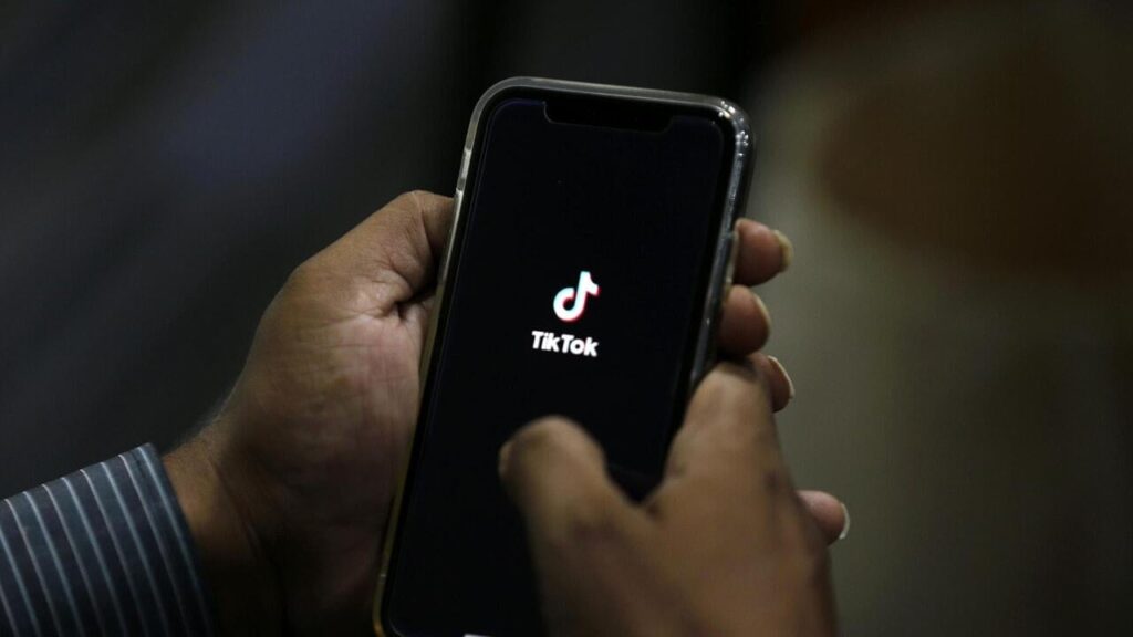 France wants to prohibit Tiktok at minors under 15: "It is toxic and addiction"