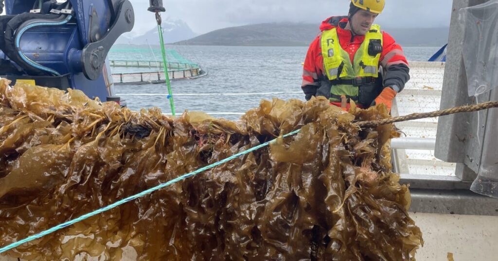 Norway’s aquatech pushes fish welfare and sustainability