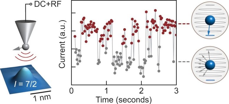 Graphical Summary of Nuclear Spin Measurement Experiment