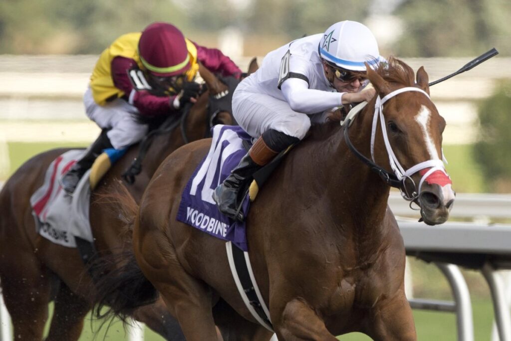 Ireland’s Coolmore ‘lads’ score pivotal wins in weekend horse racing Ireland's Coolmore 'lads' score pivotal wins in weekend horse racing