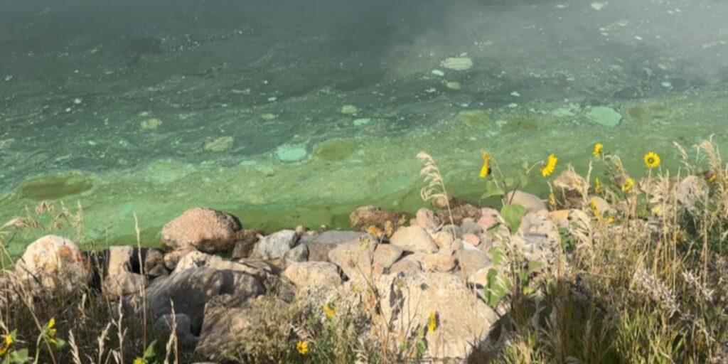Health alert issued for three Nebraska lakes