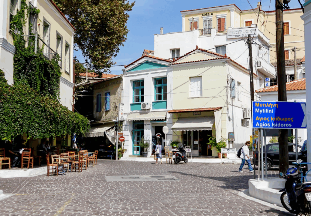 Israeli interest arbitrariness in Plomari Lesvos brings to the House the new left