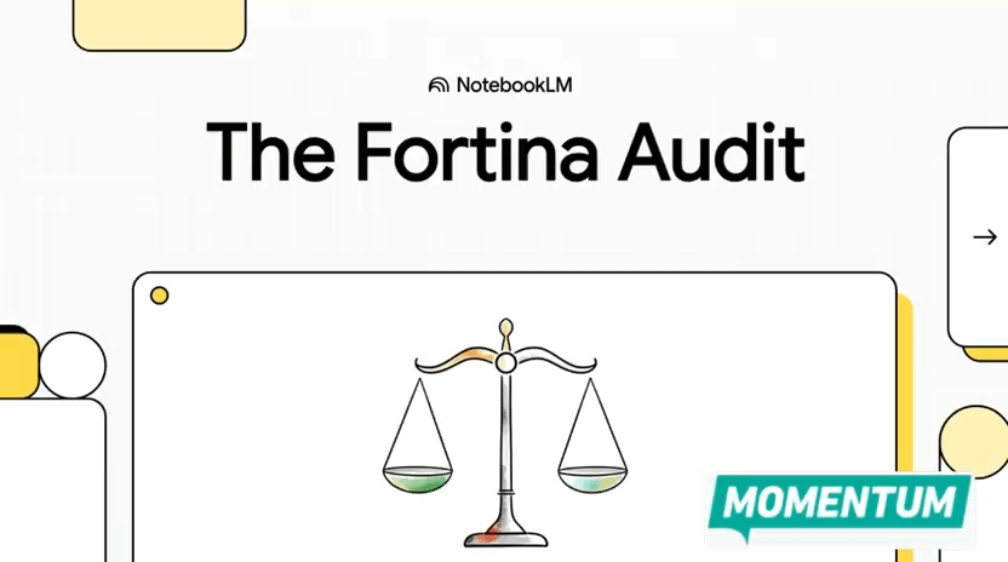 The Fortina Audit - Ai Explainer