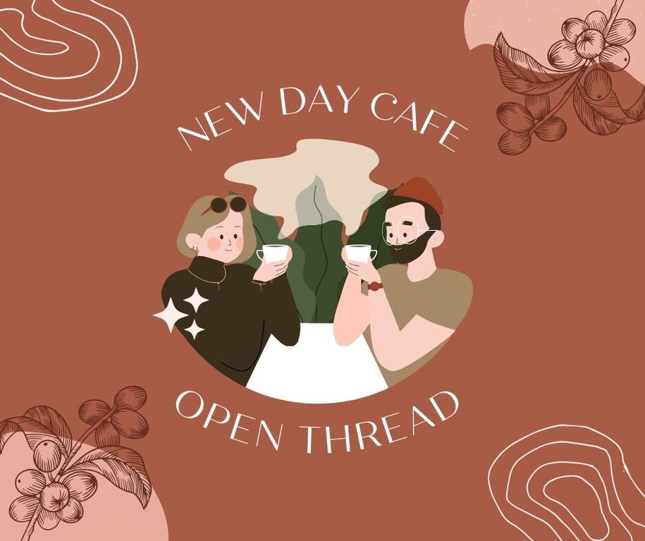 New Day Cafe: Poland's Frog House