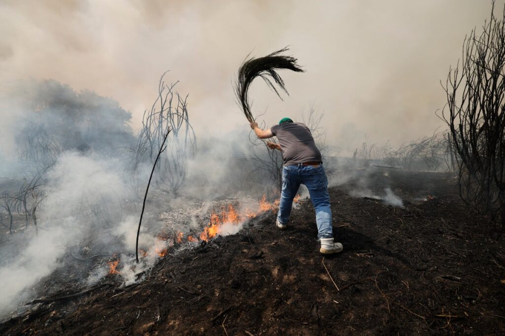 Spain records hottest summer on record as heatwaves and wildfires grip country