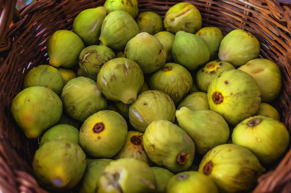 Figs