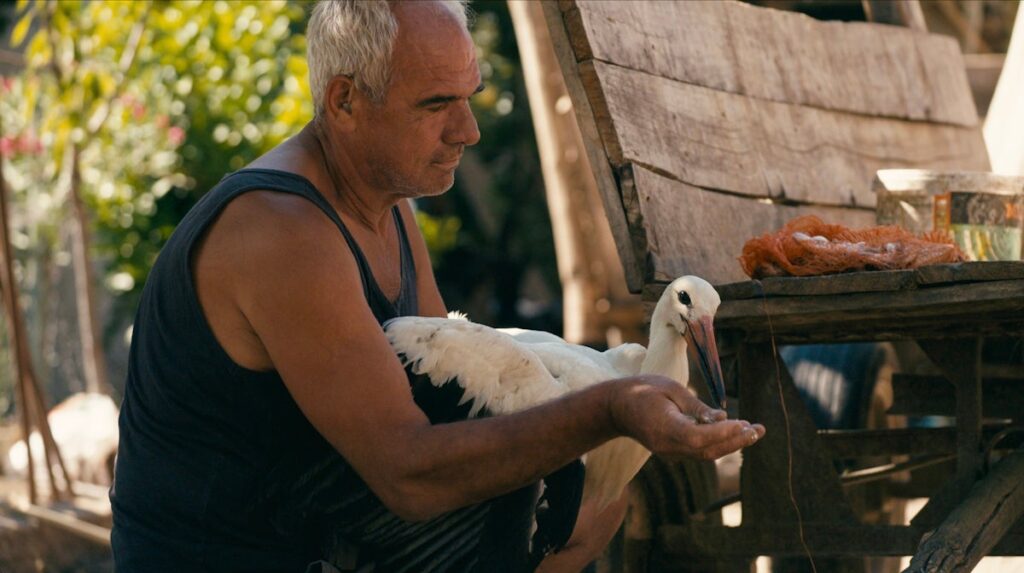 Tamara Kotevska's 'The Tale of Silyan' Lands at Nat Geo for Theatrical, Streaming Release