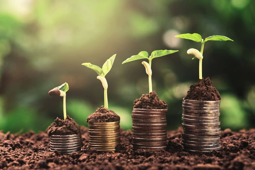 Soil Carbon Credits: Promises and Problems Soil Carbon Credits: The Promises and Uncertainties of a New Climate Market