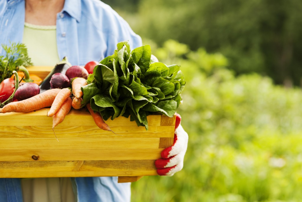 Why International companies are choosing Poland’s 2026 Fruit and Vegetable Industry Fair (TSW) Why International companies are choosing Poland's 2026 Fruit and Vegetable Industry Fair (TSW)