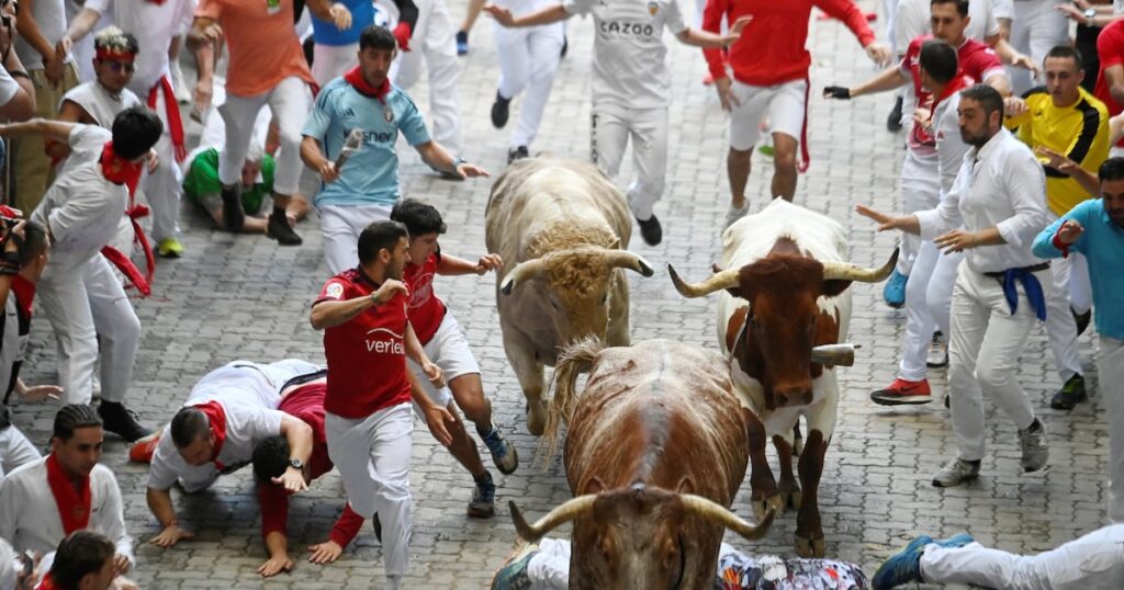 Spain’s Basque bullfighting tradition faces growing opposition – The Irish Times
