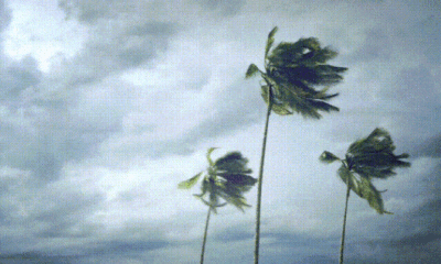 Gale Force Winds On Tuesday