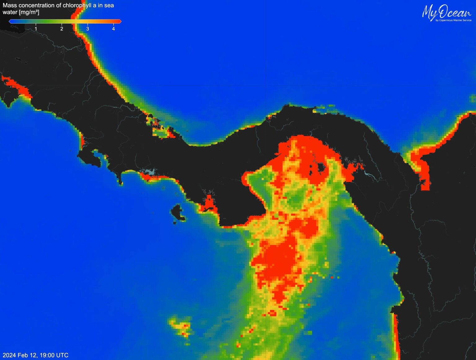 For the First Time in 40 Years, Panama’s Ocean Lifeline Has Vanished