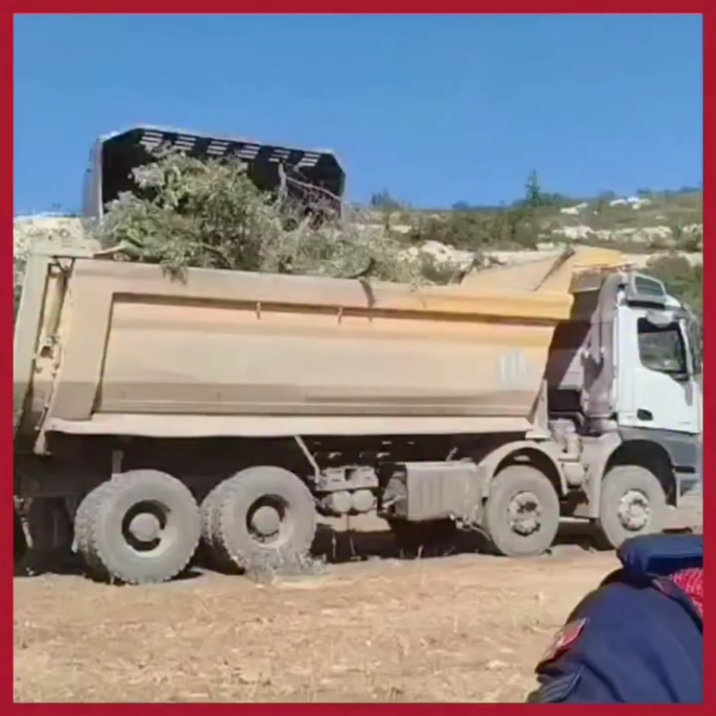 Muğla Milas Akbelen: 19.07.2025 Preparation of the Law. 16.09.2025 Cancellation of trees.