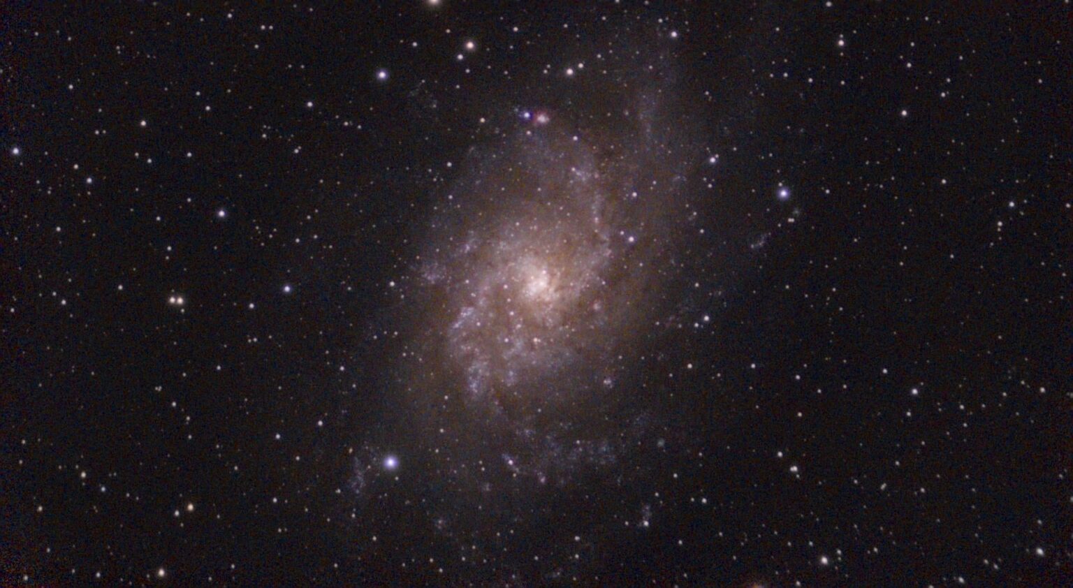 Triangulum Galaxy from my backyard