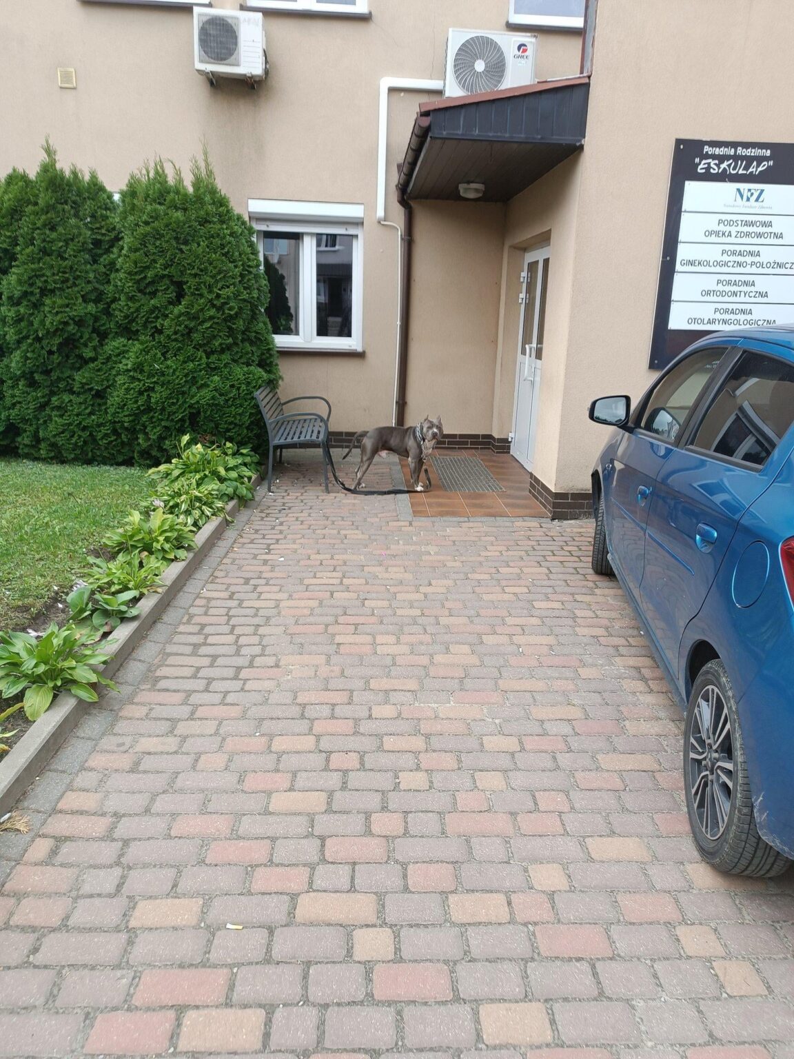 In Płońsk (Poland) the problem of queues to see a doctor has already been solved.