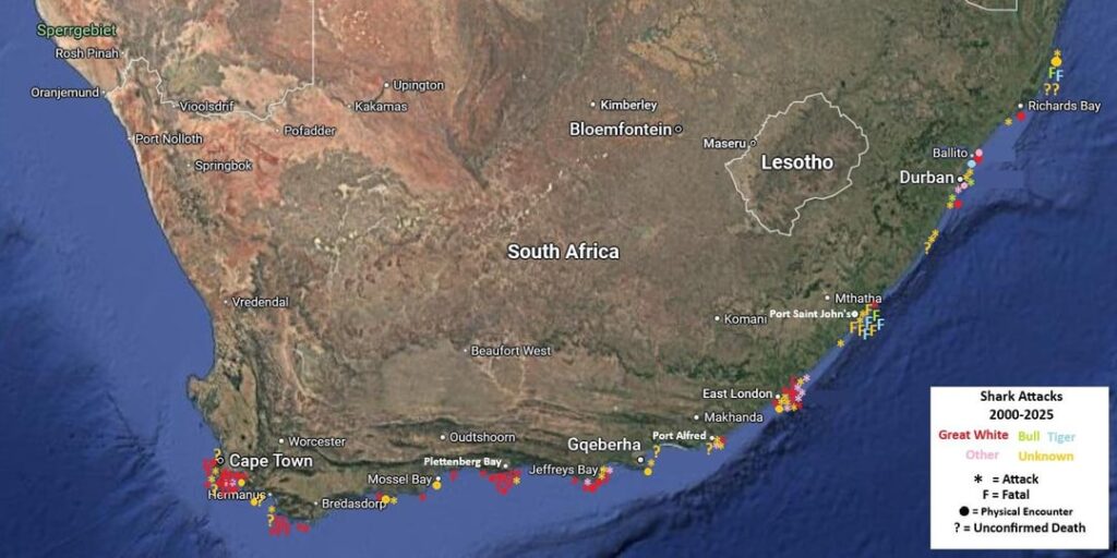 Shark Attacks 2000 - 2025 South Africa