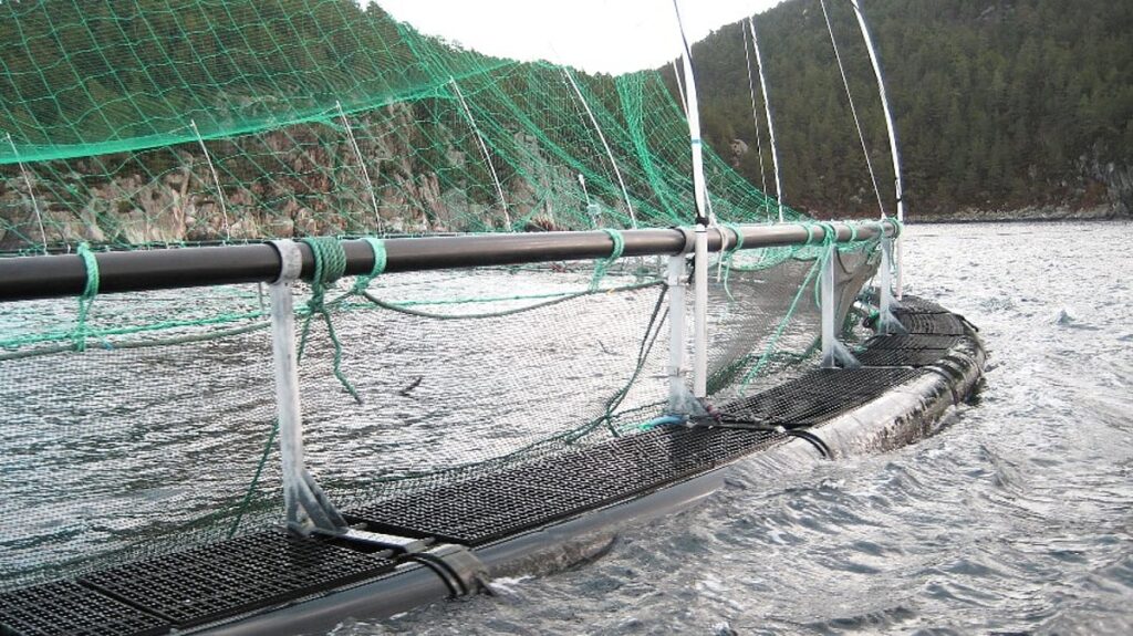 Seafood Norway supports proposed framework for offshore aquaculture