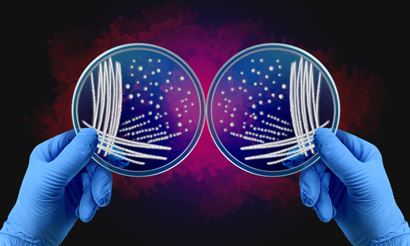 What to Know About Mirror Life