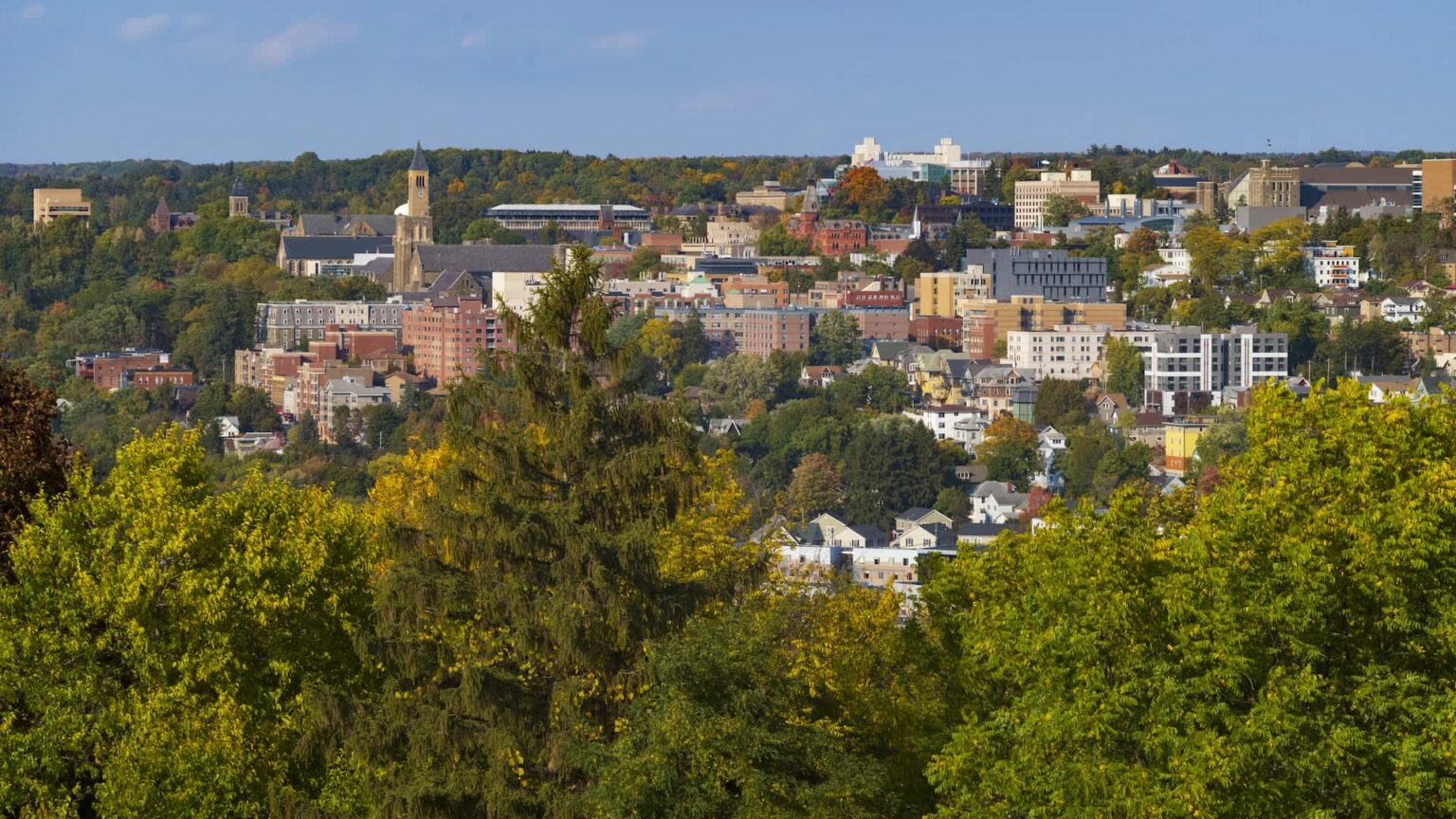 "Our hope is that we can give [cities] something they can use to make good decisions."