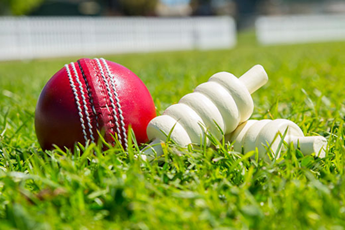SunLive - Freelancers commit to New Zealand for World Cup