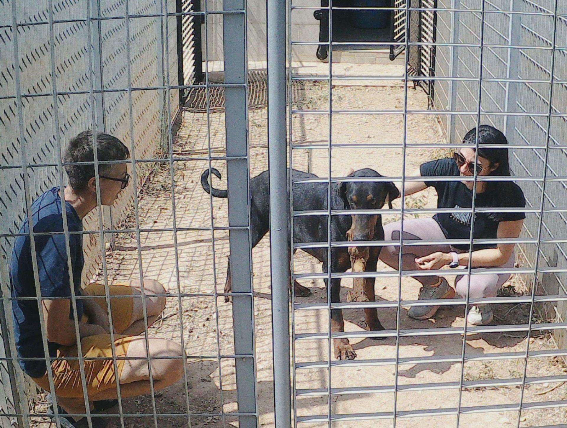 Rita Saliba (right) at the Association for Abandoned Animals (AAA).