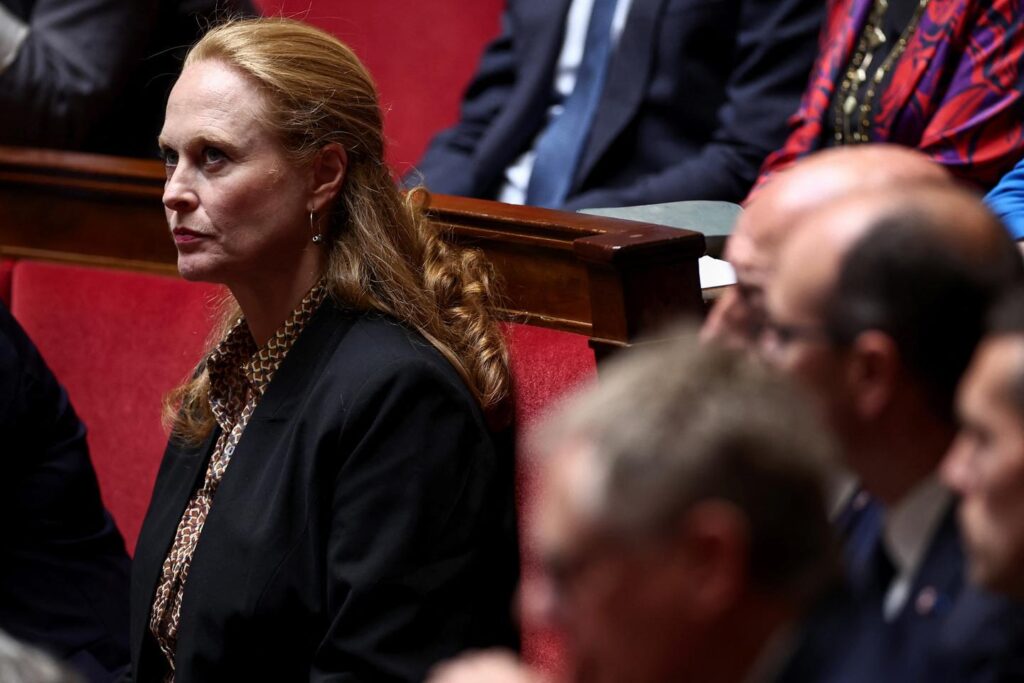 Violette Spillebout, macronist deputy, summoned to explain her group after not having voted confidence in François Bayrou Violette Spillebout, macronist deputy, summoned to explain her group after not having voted confidence in François Bayrou