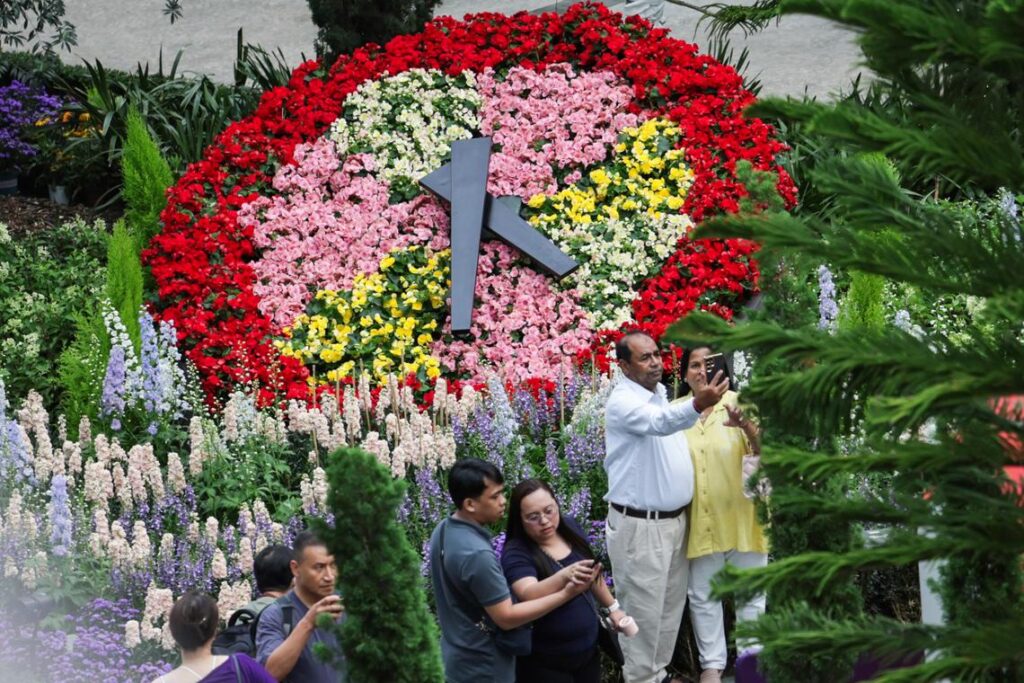Flower Dome scales new heights with alpine floral display from Switzerland
