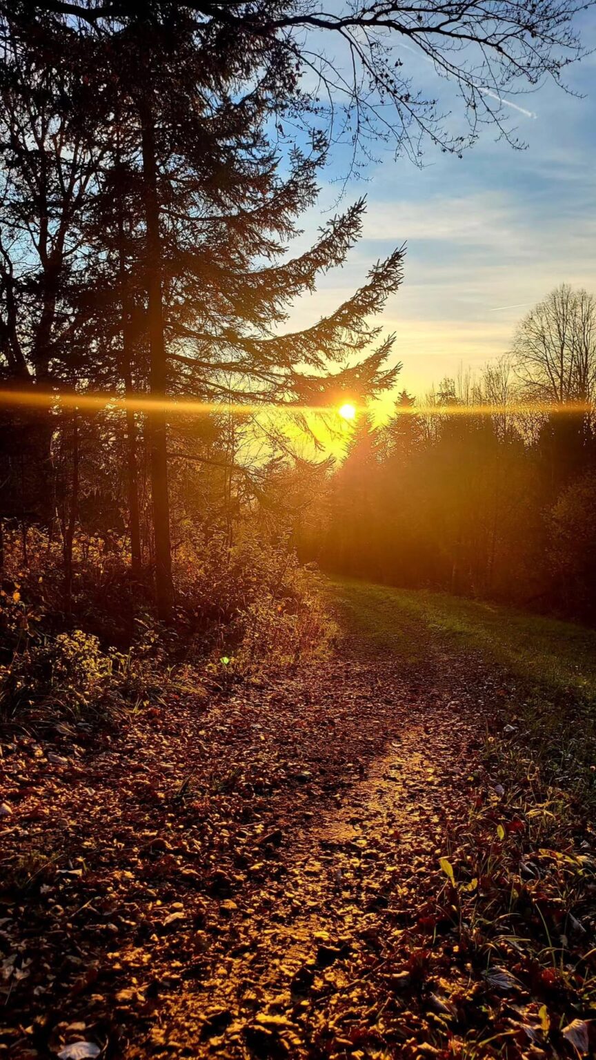I can’t wait for autumn to arrive again. Many people hate it, but I love it🍂