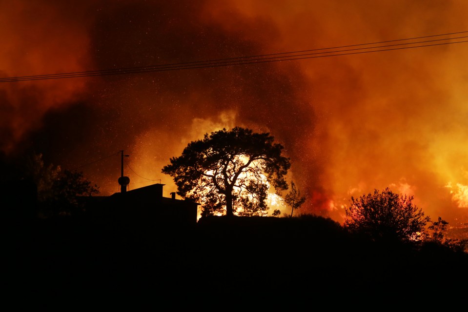 Silhouetted trees and buildings against an orange and red sky filled with smoke and sparks from a wildfire.
