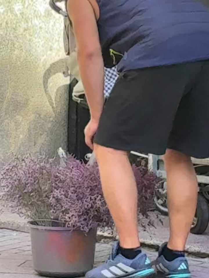 Zagreb Flower Market