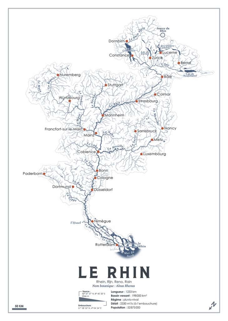 What if the rivers became trees? I present to you the Rhine (Alnus Rhenus) [OC]