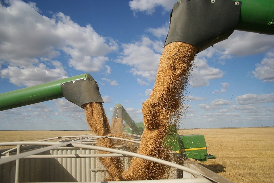 Food Giants Partner on Regenerative Farming Project in Poland