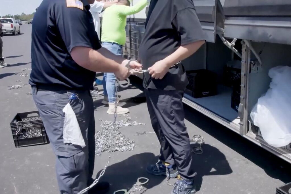 More than 300 Korean nationals were arrested by the US authorities to review their activities at an electric vehicle battery plant in Georgia.