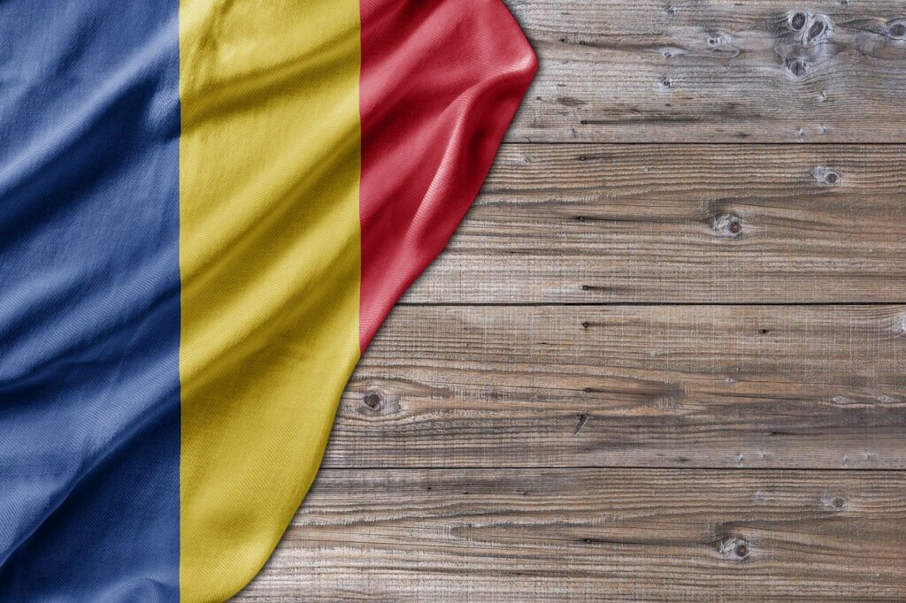 Former Romanian presidential candidate Georgescu charged with plotting a coup Former Romanian presidential candidate Georgescu charged with plotting a coup