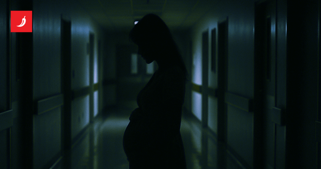 At the Zadar hospital, a woman said after spontaneous abortion that he threw the fruit in a garbage bucket At the Zadar hospital, a woman said after spontaneous abortion that he threw the fruit in a garbage bucket
