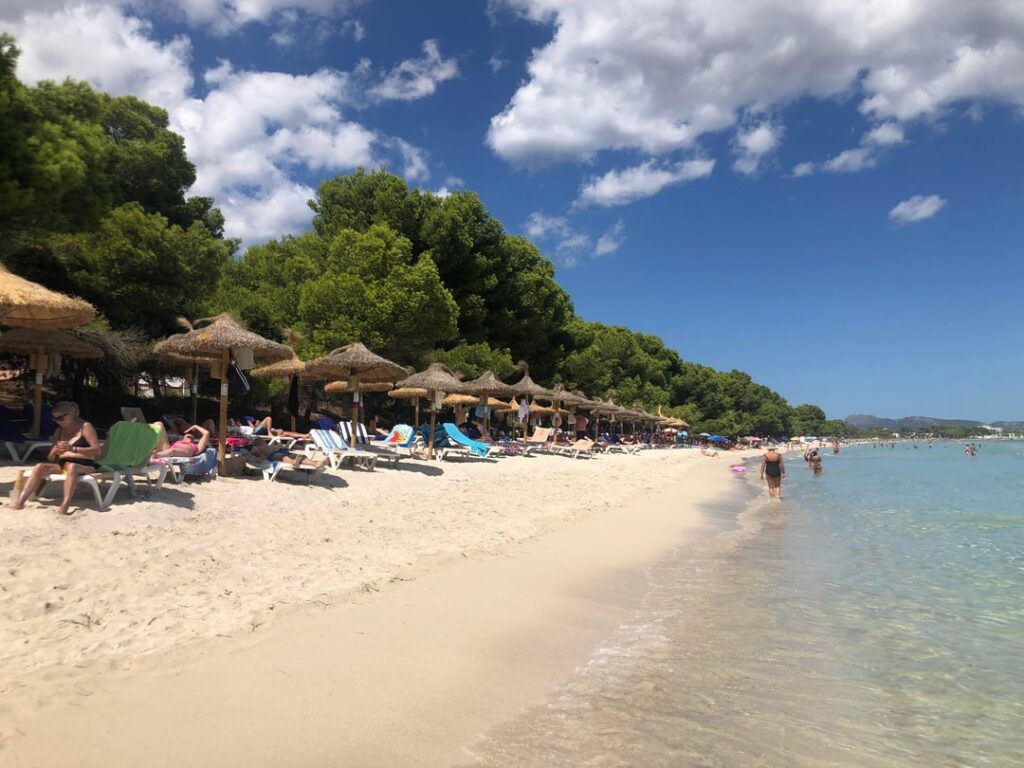 Beach of Alcudia
