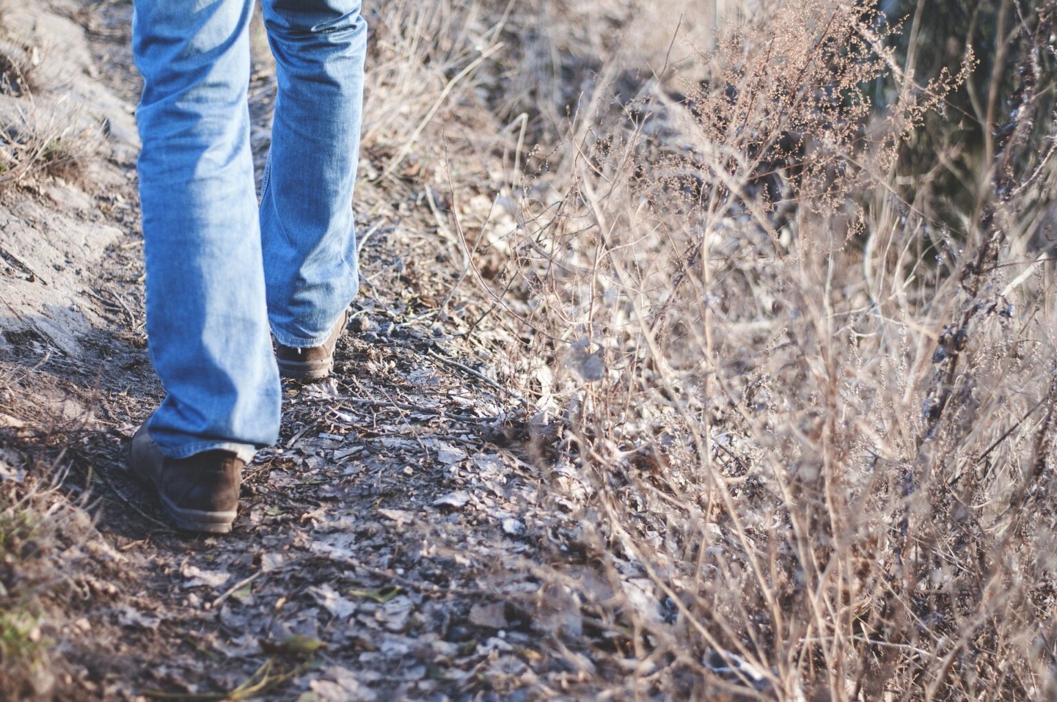Digestive health, Healing after heartbreak, “Time, Beauty, and Grief: A Hike Through Wisconsin’s 50 State Parks”