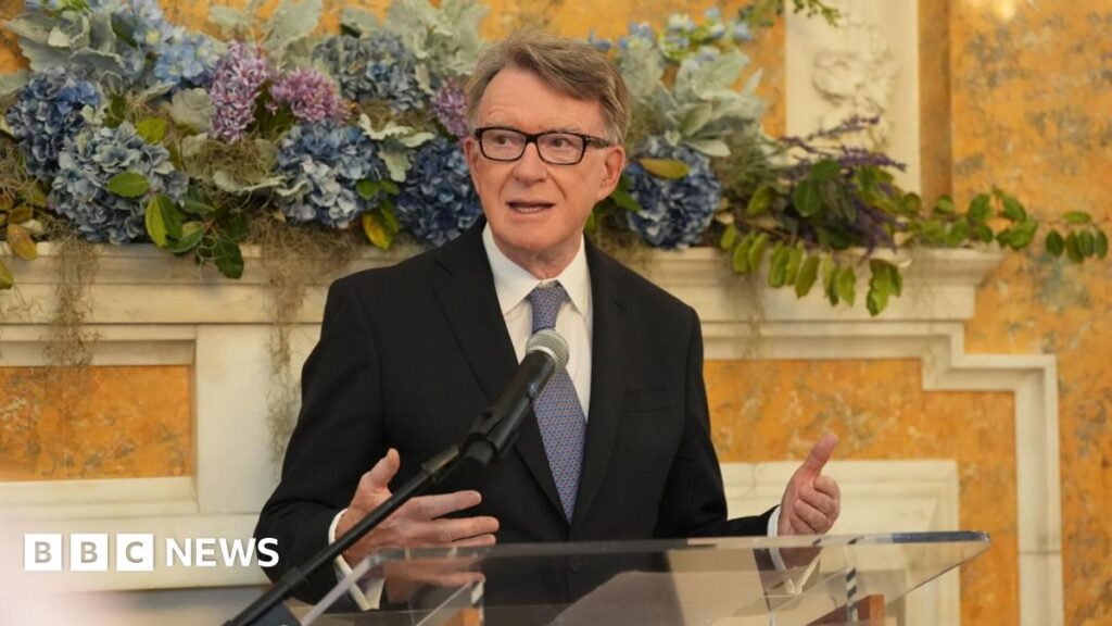 Mandelson 'called Epstein best pal' in birthday message