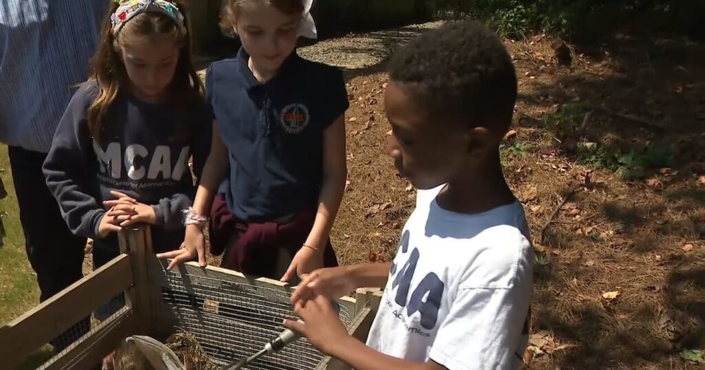 Cobb County elementary school receives prestigious award for environmental conservation program – WSB-TV Channel 2